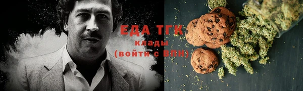 индика Абинск