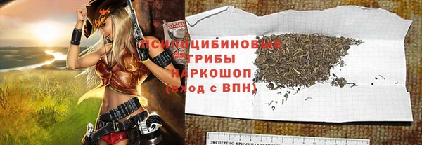 индика Абинск