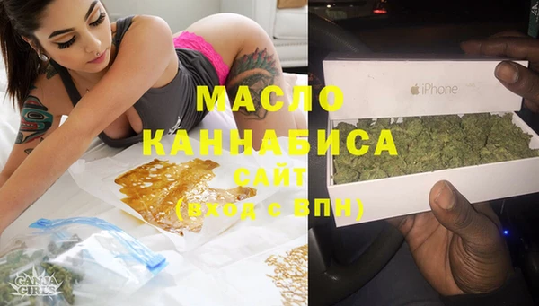 индика Абинск